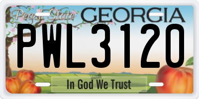 GA license plate PWL3120