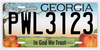 GA license plate PWL3123