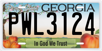 GA license plate PWL3124