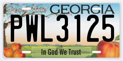 GA license plate PWL3125