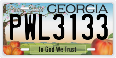 GA license plate PWL3133