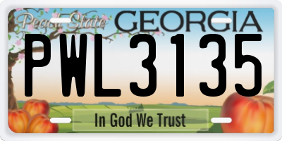 GA license plate PWL3135
