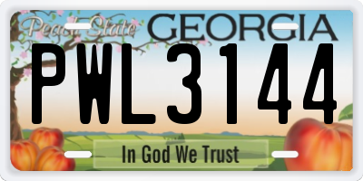 GA license plate PWL3144