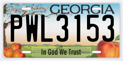 GA license plate PWL3153