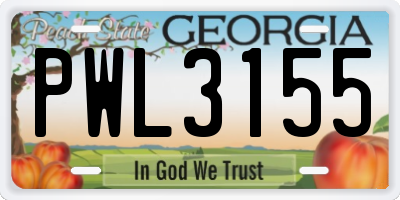 GA license plate PWL3155