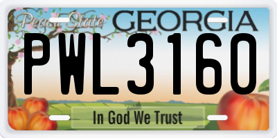 GA license plate PWL3160