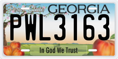 GA license plate PWL3163