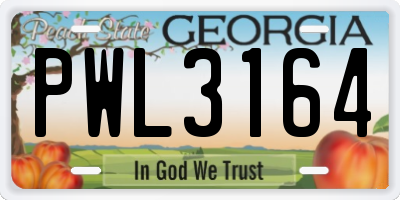 GA license plate PWL3164
