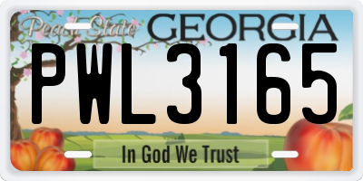 GA license plate PWL3165