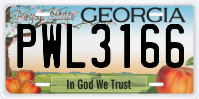 GA license plate PWL3166