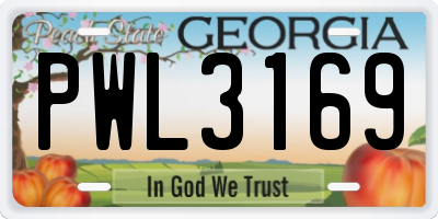 GA license plate PWL3169