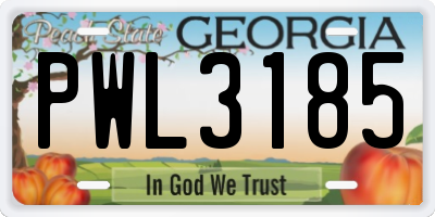 GA license plate PWL3185