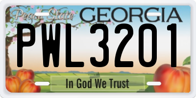 GA license plate PWL3201
