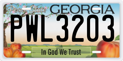 GA license plate PWL3203