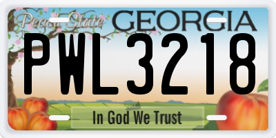 GA license plate PWL3218