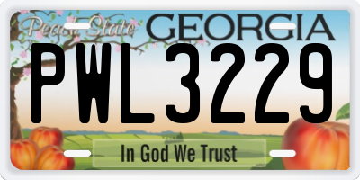 GA license plate PWL3229