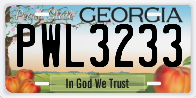 GA license plate PWL3233