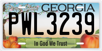 GA license plate PWL3239