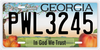 GA license plate PWL3245