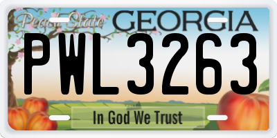 GA license plate PWL3263