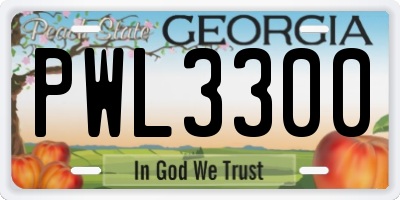 GA license plate PWL3300