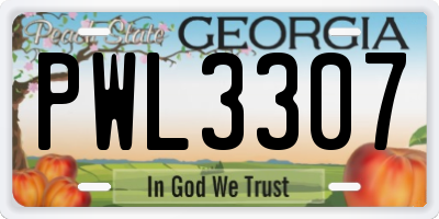 GA license plate PWL3307