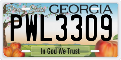 GA license plate PWL3309