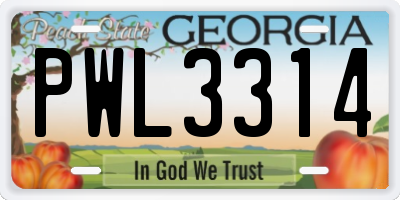 GA license plate PWL3314