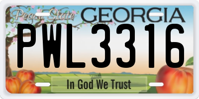 GA license plate PWL3316