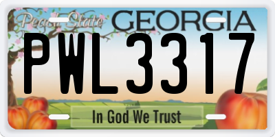 GA license plate PWL3317