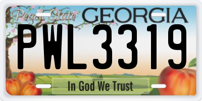 GA license plate PWL3319