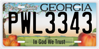 GA license plate PWL3343