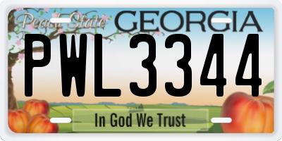 GA license plate PWL3344