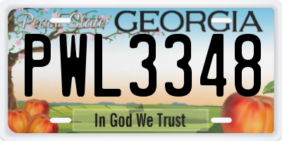 GA license plate PWL3348