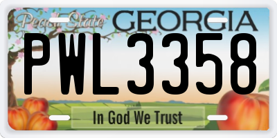 GA license plate PWL3358