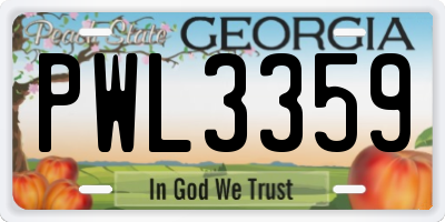 GA license plate PWL3359