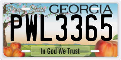 GA license plate PWL3365