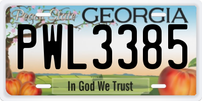 GA license plate PWL3385