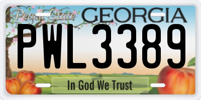 GA license plate PWL3389