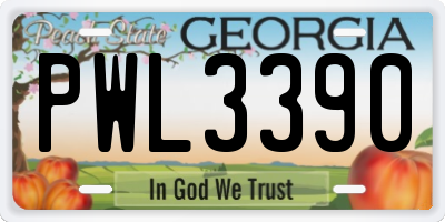 GA license plate PWL3390