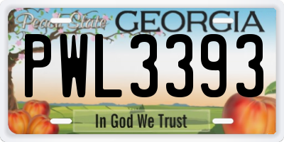 GA license plate PWL3393