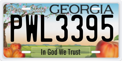 GA license plate PWL3395