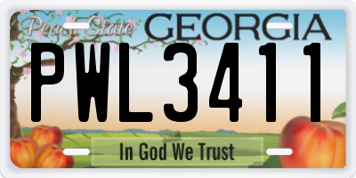 GA license plate PWL3411