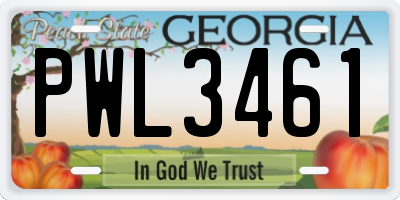 GA license plate PWL3461
