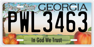GA license plate PWL3463