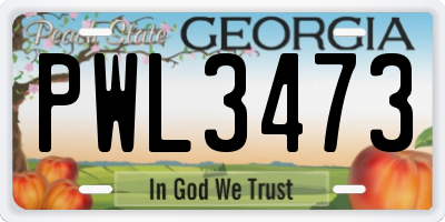 GA license plate PWL3473