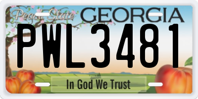 GA license plate PWL3481