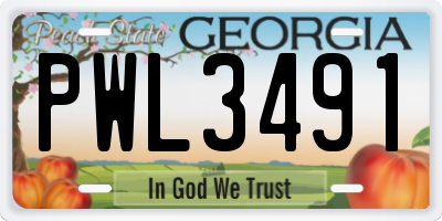 GA license plate PWL3491