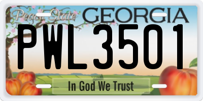 GA license plate PWL3501