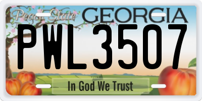 GA license plate PWL3507